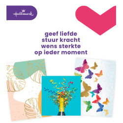 Wenskaart Hallmark navulset blanco 8 kaarten