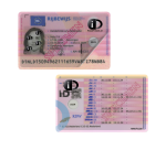 Film de protection PassProtect pour permis de conduire