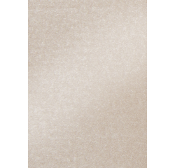 Carton photo Folia double face 50x70cm 250g nacré nr43 rose clair