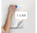 Magneet Nobo 13mm assorti 10 stuks