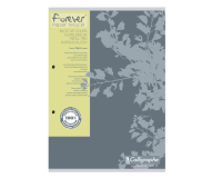 Clairefontaine Forever Calligrapher Notepad A4 square 5x5mm 2 holes 200 pages 70g gray