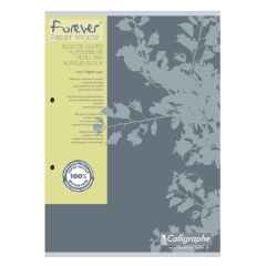 Bloc de cours Clairefontaine Forever Calligraphe A4 carr 5x5mm 2 perf 200 pages 70g gris