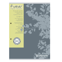 Bloc de cours Clairefontaine Forever Calligraphe A4 carr 5x5mm 2 perf 200 pages 70g gris