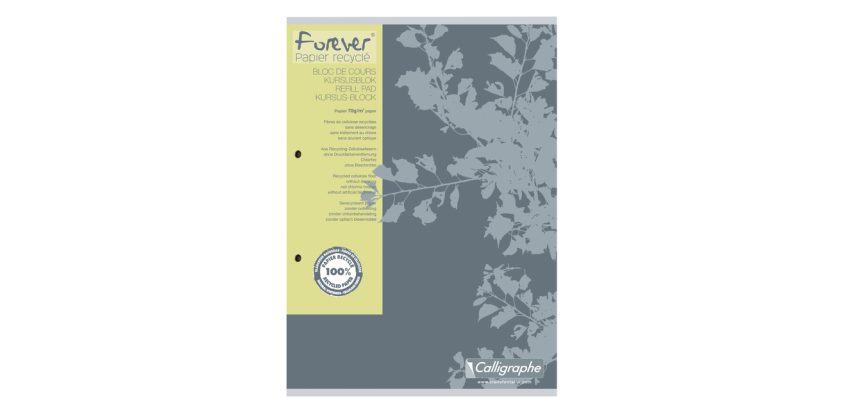Bloc de cours Clairefontaine Forever Calligraphe A4 carr 5x5mm 2 perf 200 pages 70g gris