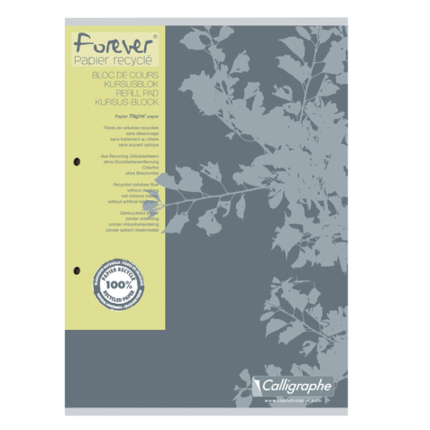 Bloc de cours Clairefontaine Forever Calligraphe A4 carr 5x5mm 2 perf 200 pages 70g gris