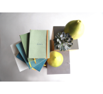 Notitieboek Rhodia A5 lijn 80 vel 90gr celadon