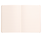 Notitieboek Rhodia A5 lijn 80 vel 90gr celadon