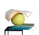 Notitieboek Rhodia A5 lijn 80 vel 90gr celadon