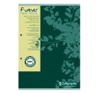 Bloc de cours Clairefontaine Forever Calligraphe A4 ligné 2 perf 200 pages 70g vert