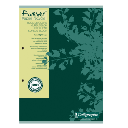 Cursusblok Clairfontaine Forever Calligraphe A4 lijn 2-gaats 200 pagina's 70gr groen