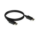 Câble ACT DisplayPort 1m noir