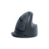 Souris ergonomique R-Go Tools HE Basic sans fil Droitier M gris