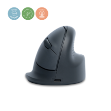 Souris ergonomique R-Go Tools HE Basic sans fil Droitier M