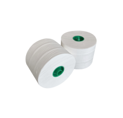 Papier toilette Cleaninq avec mandrin 2 épaisseurs 100m blanc