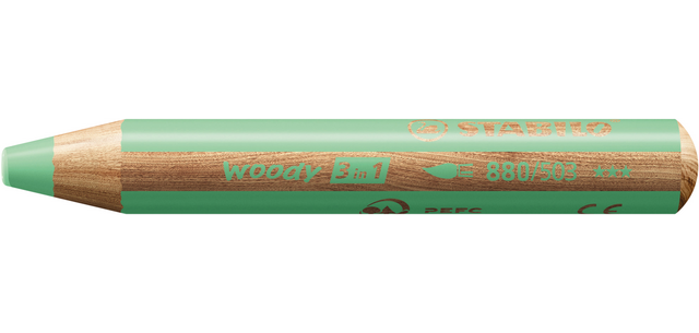 Crayon de couleur STABILO 880 woody 3-en-1 multi-surfaces pastel vert