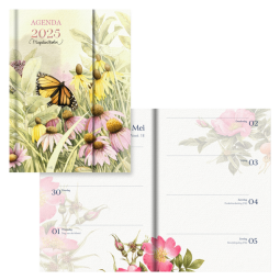 Agenda 2025 Hallmark Marjolein Bastin 110x155mm 7 jours/2 pages