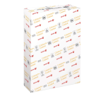 Papier laser Xerox Colotech+ semi-mat couché A4 170g blanc 250 feuilles