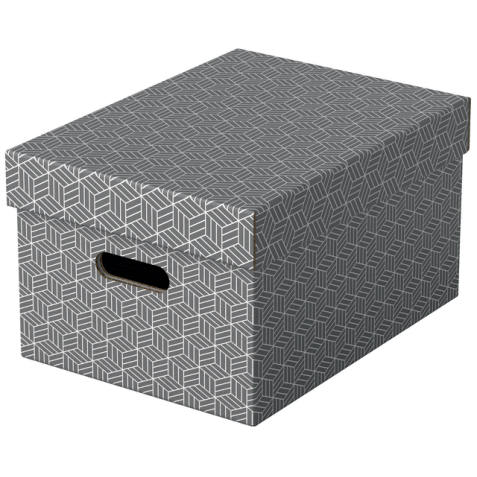 Opbergdoos Esselte home middelgroot 265x205x365mm grijs 3 stuks