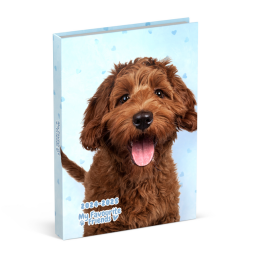 Agenda scolaire 2024-2025 Lannoo My Favourite Friends Chien 1 jour/1 page