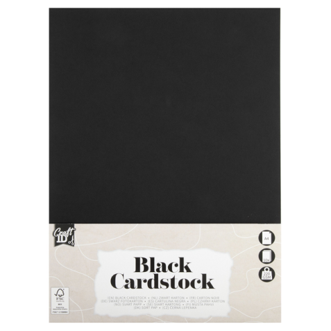 Carton Hobby CraftID A4 220g noir 10 feuilles