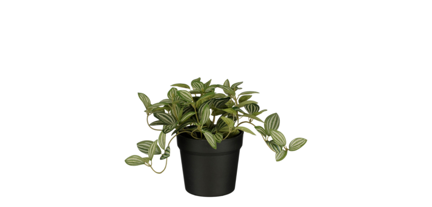 Plante artificielle Mico Tradescantia Pot plastique 16x16cm