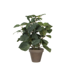 Kunstpflanze Mica Pilea Plastiktopf Ø11,5cm 35x25cm
