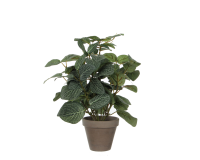 Kunstplant Mica Pilea in pot Ø11,5cm 35x25cm