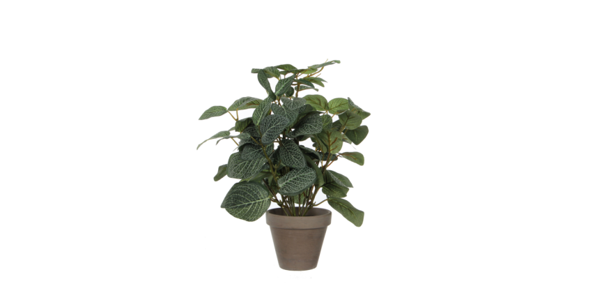 Artificial Plant Mica Pilea Plastic Pot Ø11.5cm 35x25cm