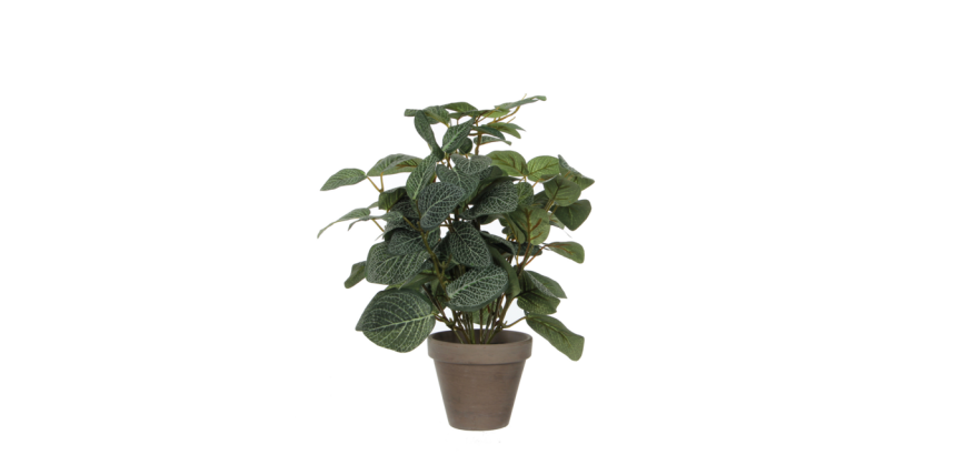 Kunstpflanze Mica Pilea Plastiktopf Ø11,5cm 35x25cm