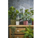 Kunstpflanze Mica Pilea Plastiktopf Ø11,5cm 35x25cm