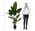 Artificial Plant Mica Banana Tree Plastic Pot 180x30cm