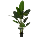 Artificial Plant Mica Banana Tree Plastic Pot 180x30cm
