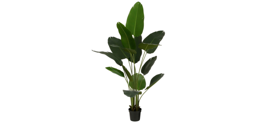 Artificial Plant Mica Banana Tree Plastic Pot 180x30cm