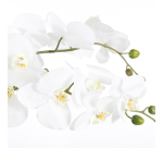 Artificial plant Mica White Phalaenopsis Orchid Plastic pot 79x51cm