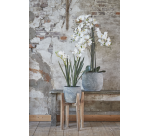 Artificial plant Mica White Phalaenopsis Orchid Plastic pot 79x51cm
