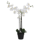 Artificial plant Mica White Phalaenopsis Orchid Plastic pot 79x51cm