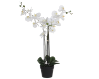 Plante artifielle Mica Orchidée Phalaenopsis blanche Pot plastique 79x51cm