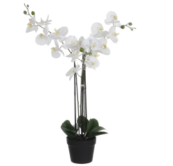 Kunstplant Mica Phalaenopsis orchideeën wit in plastic pot 79x51cm