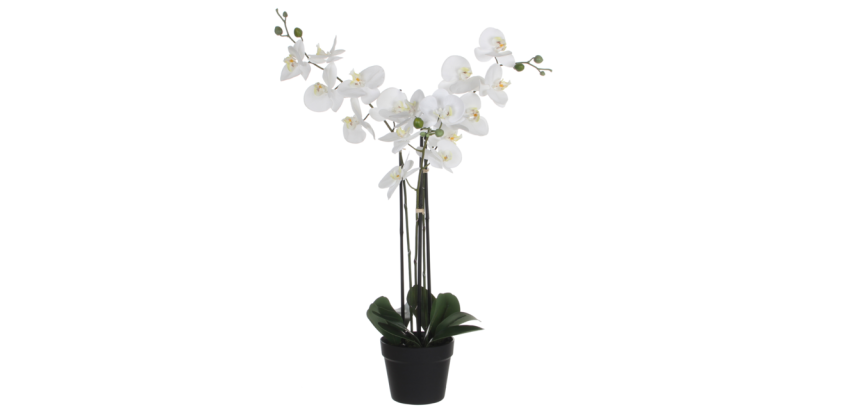 Artificial plant Mica White Phalaenopsis Orchid Plastic pot 79x51cm