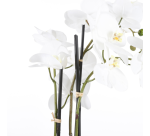 Artificial plant Mica White Phalaenopsis Orchid Plastic pot 79x51cm