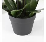 Artificial plant Mica White Phalaenopsis Orchid Plastic pot 79x51cm