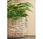 Basket Mica Sea Grass Avalon Round Light Brown 26x26cm