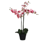 Kunstplant Mica Phalaenopsis orchideeën roze in plastic pot 79x51cm
