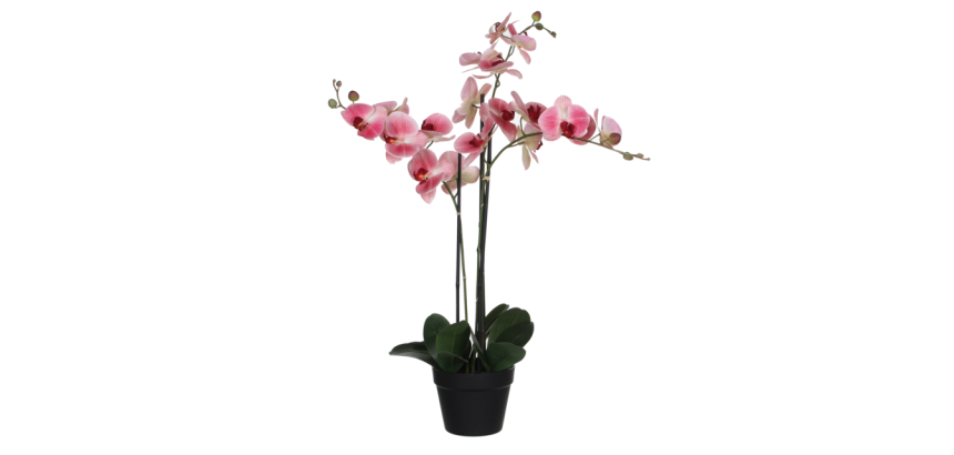Kunstplant Mica Phalaenopsis orchideeën roze in plastic pot 79x51cm