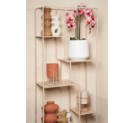 Kunstplant Mica Phalaenopsis orchideeën roze in plastic pot 79x51cm