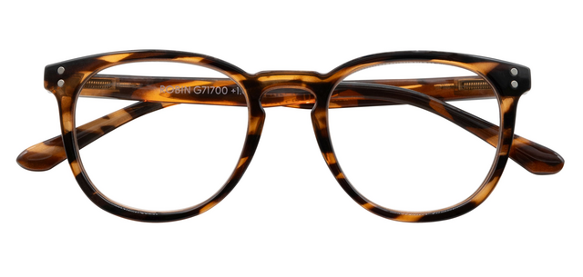 Lunettes de lecture I Need You +2.50 dpt Robin havane