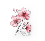Sakura Cherry Blossom Creation Kit 6 pieces