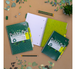 Projectboek Pukka Pad Recycled A4 lijn 5-tabs 4-gaats 200 pagina's 80gr groen