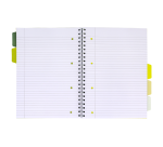 Projectboek Pukka Pad Recycled A4 lijn 5-tabs 4-gaats 200 pagina's 80gr groen