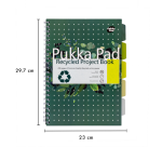Projectboek Pukka Pad Recycled A4 lijn 5-tabs 4-gaats 200 pagina's 80gr groen